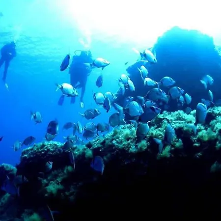 T2 Loft Entre Et Montagne Calenzana