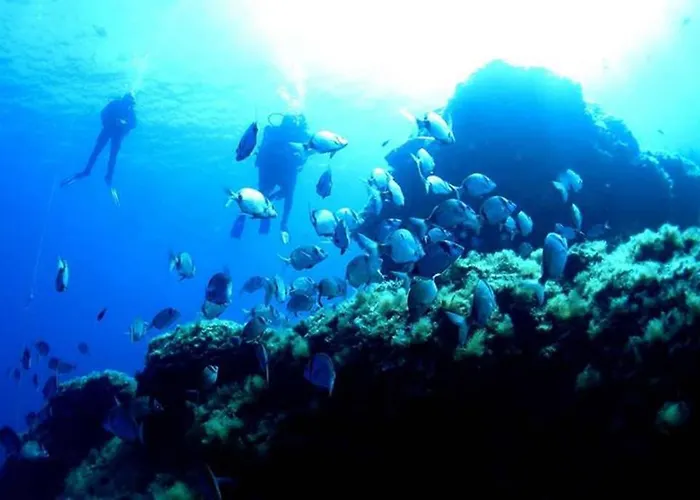 T2 Loft Entre Et Montagne 卡伦扎纳